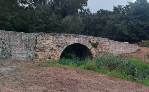 Ponte - Scotonico 2.png